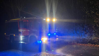 Baum über Straße – 18. November 2025 – Tagensdorf