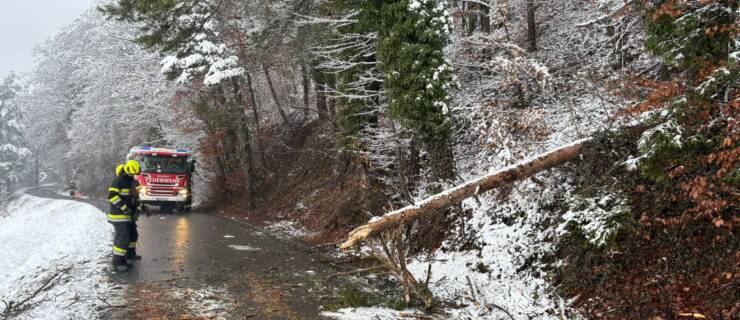 T01 – Baumbergung – 26. Dezember 2025