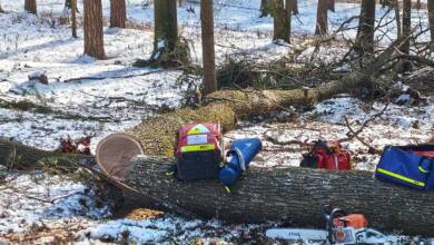 Forstunfall – 3. Jänner 2026