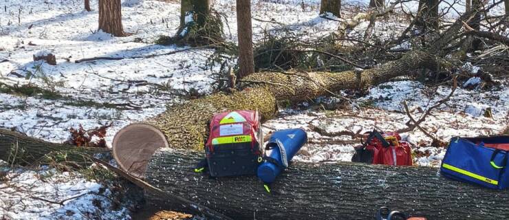 Forstunfall – 3. Jänner 2026