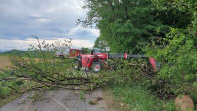 Baumbergung Lichtenegg – 05.05.2026