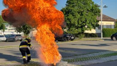 Bewegungstag – 19.06.2026